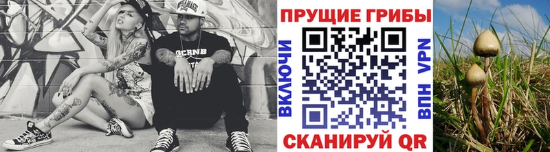 Псилоцибиновые грибы Magic Shrooms  Купить закладки  Волоколамск 
